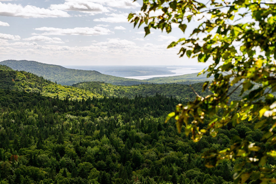 Explore the Best of Cap Gribane Trail