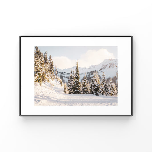 Magie du matin à Whistler 1