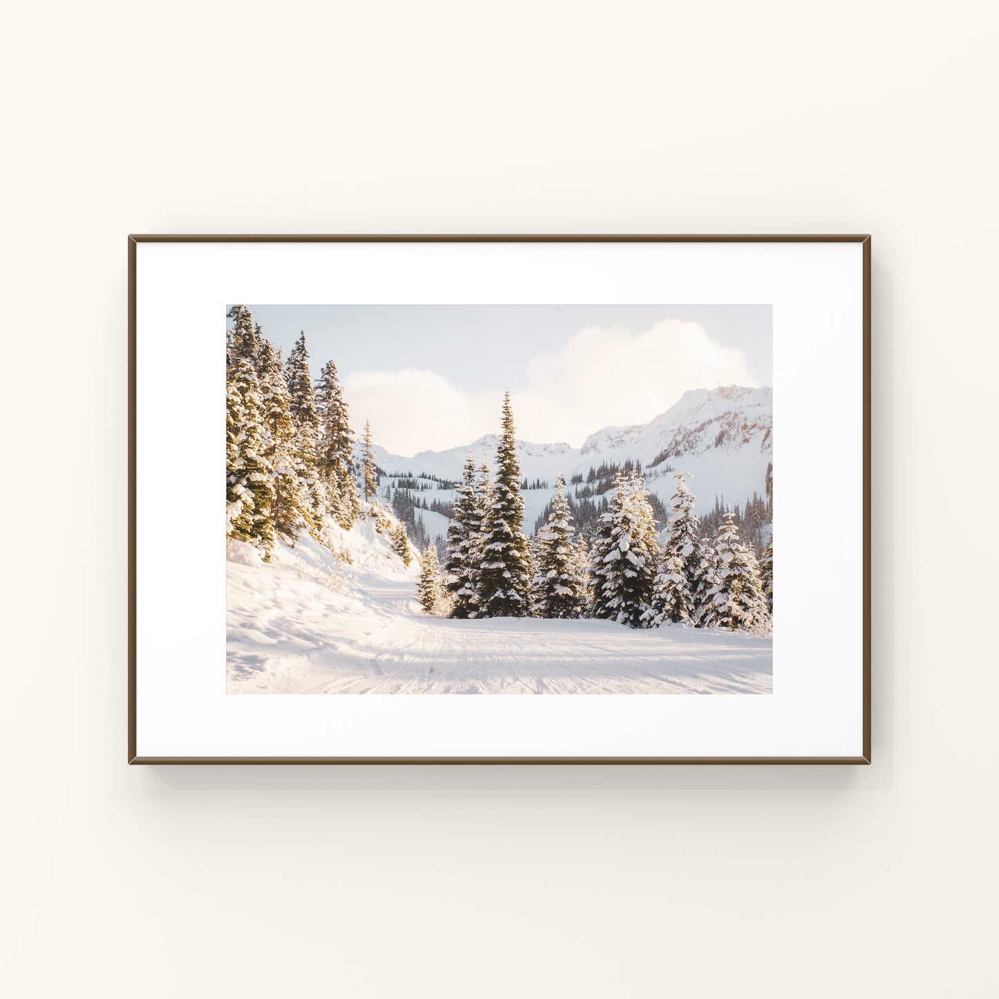 Magie du matin à Whistler 1