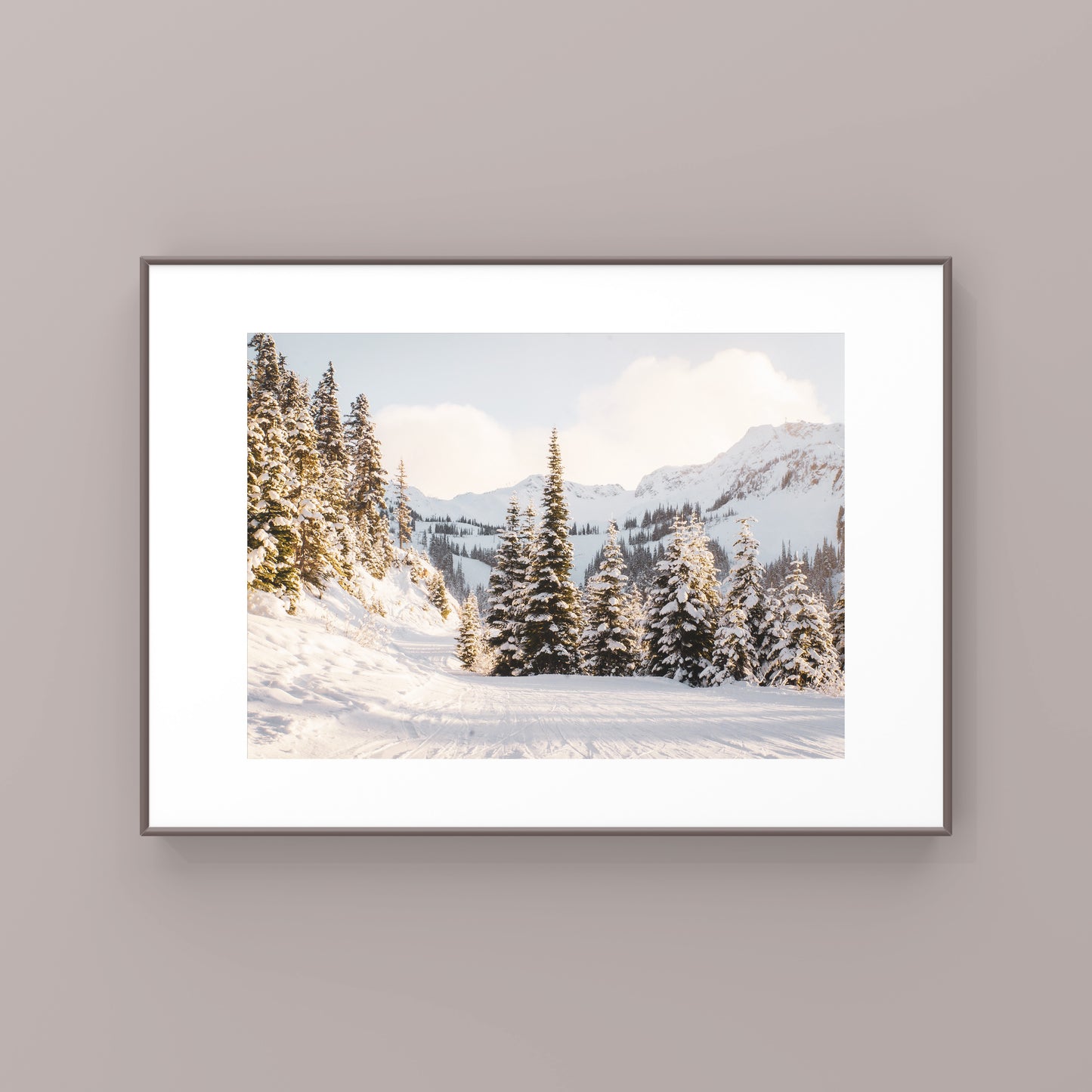 Magie du matin à Whistler 1