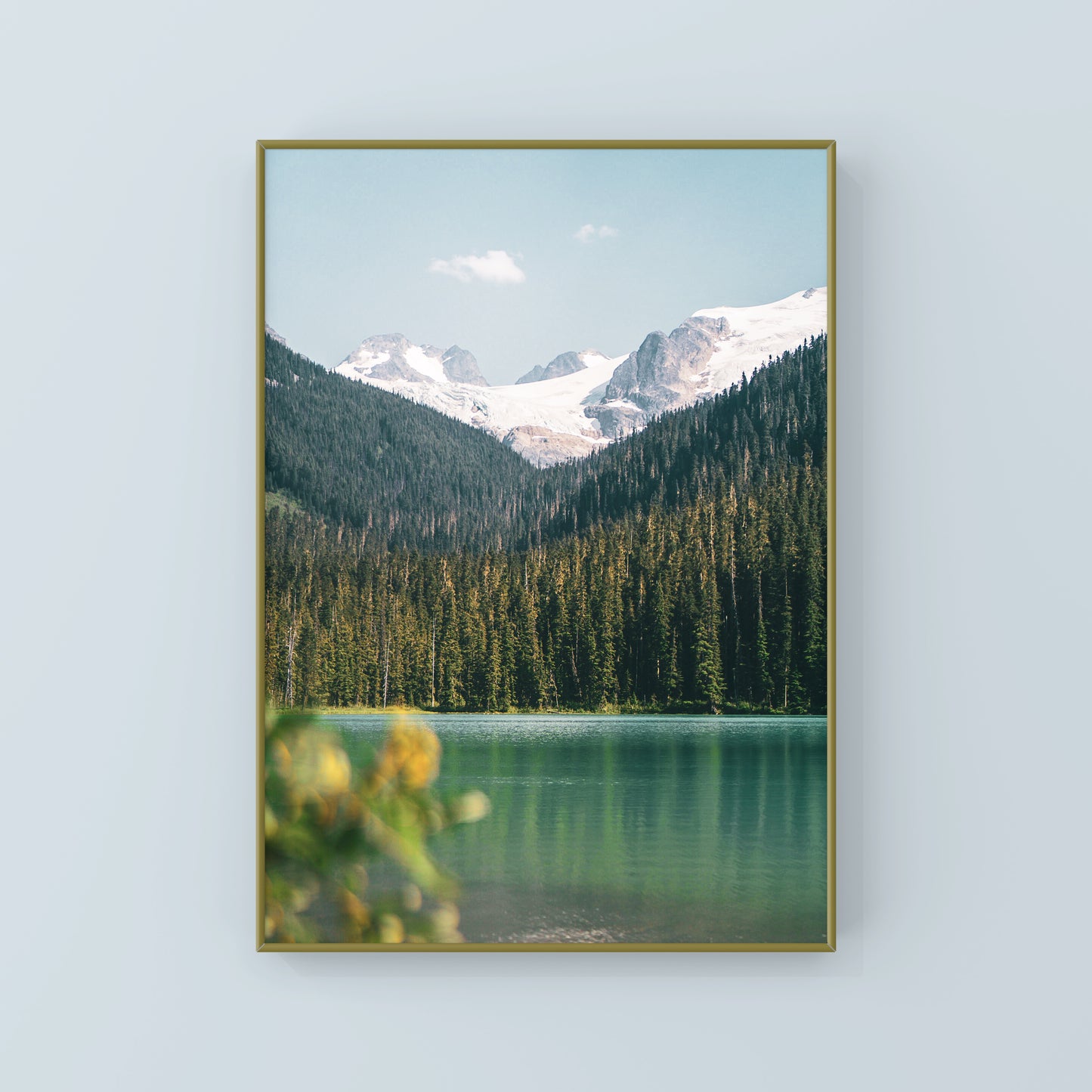 Rêve de montagne des lacs Joffre