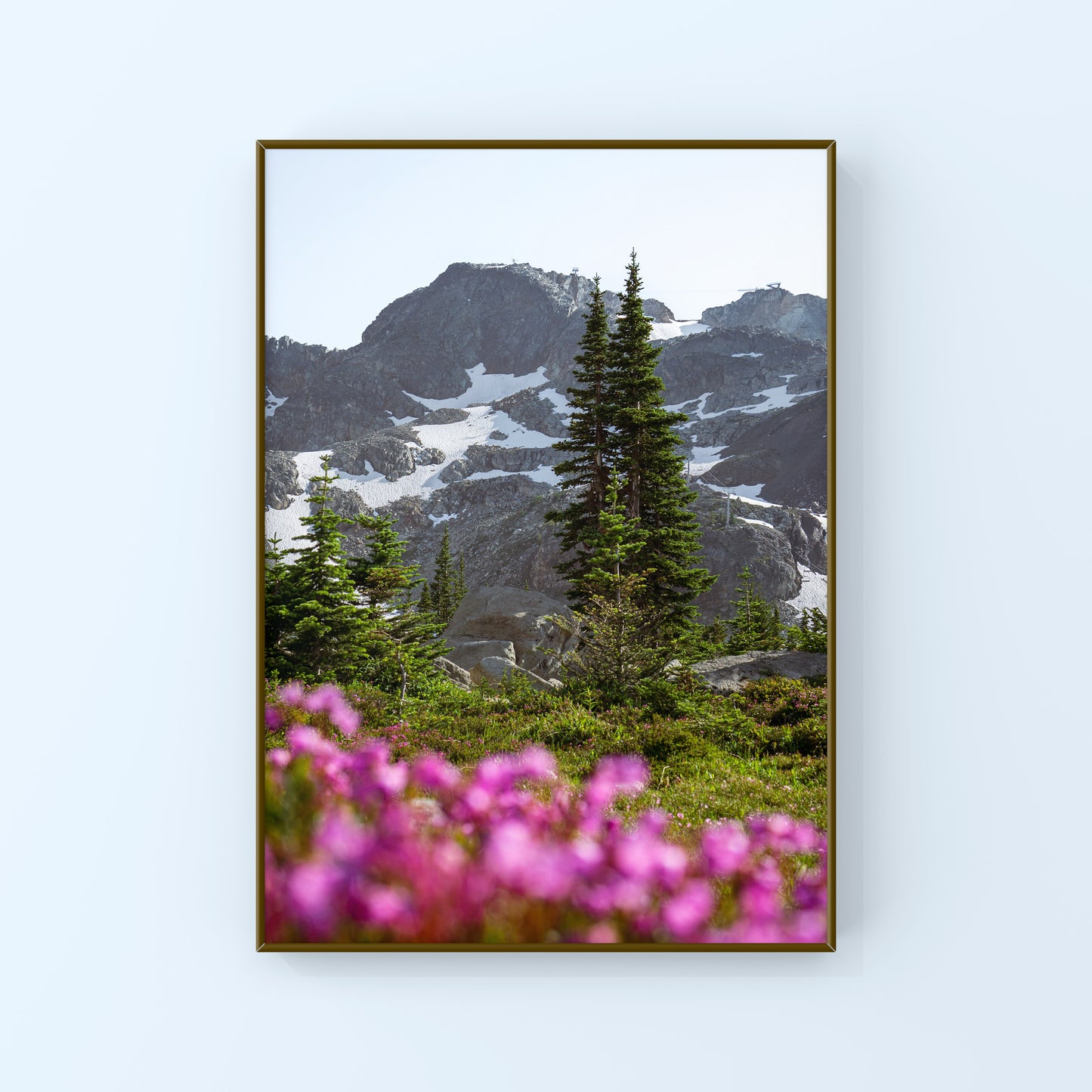 Wildflower season in Whistler
