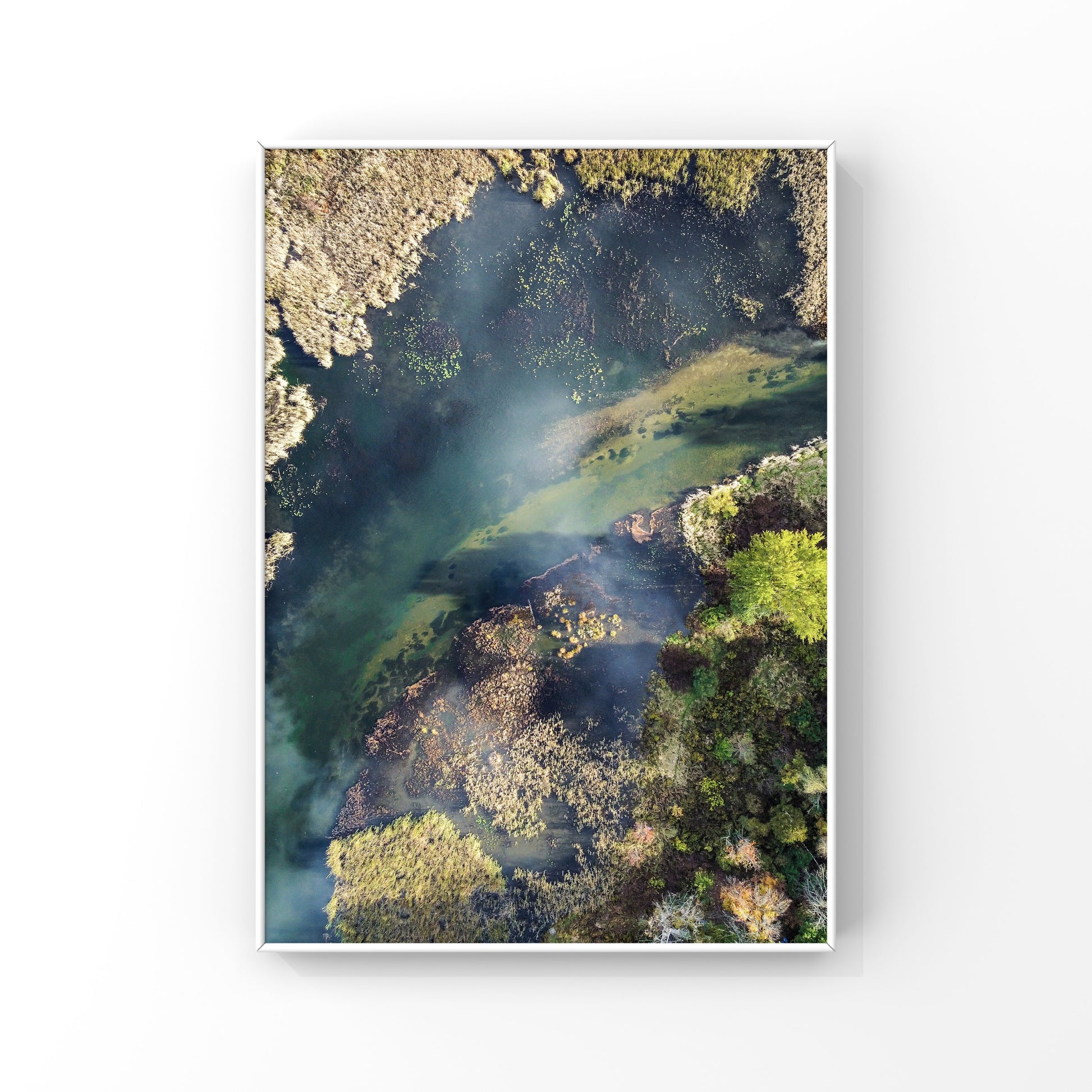 Aerial view of a river with green moss and shadows, the water is a deep turquoise blue, abstract nature photography print for sale