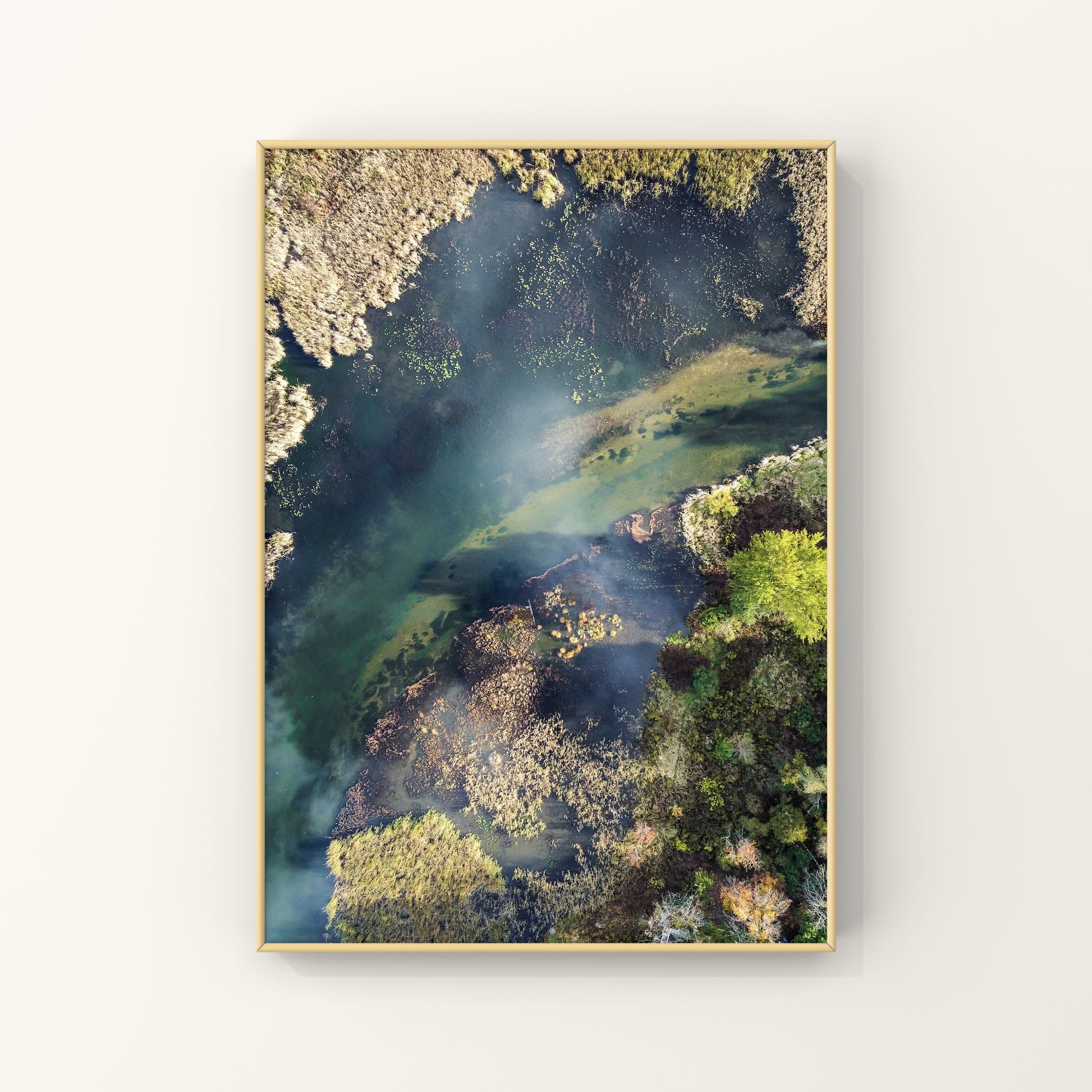 Aerial view of a river with green moss and shadows, the water is a deep turquoise blue, abstract nature photography print for sale