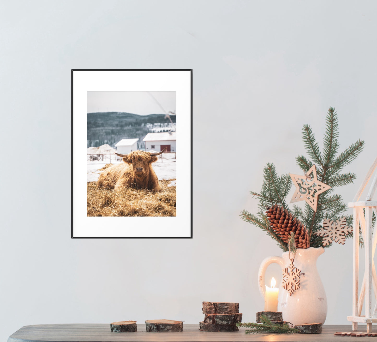 Vache Highland de Charlevoix dormant