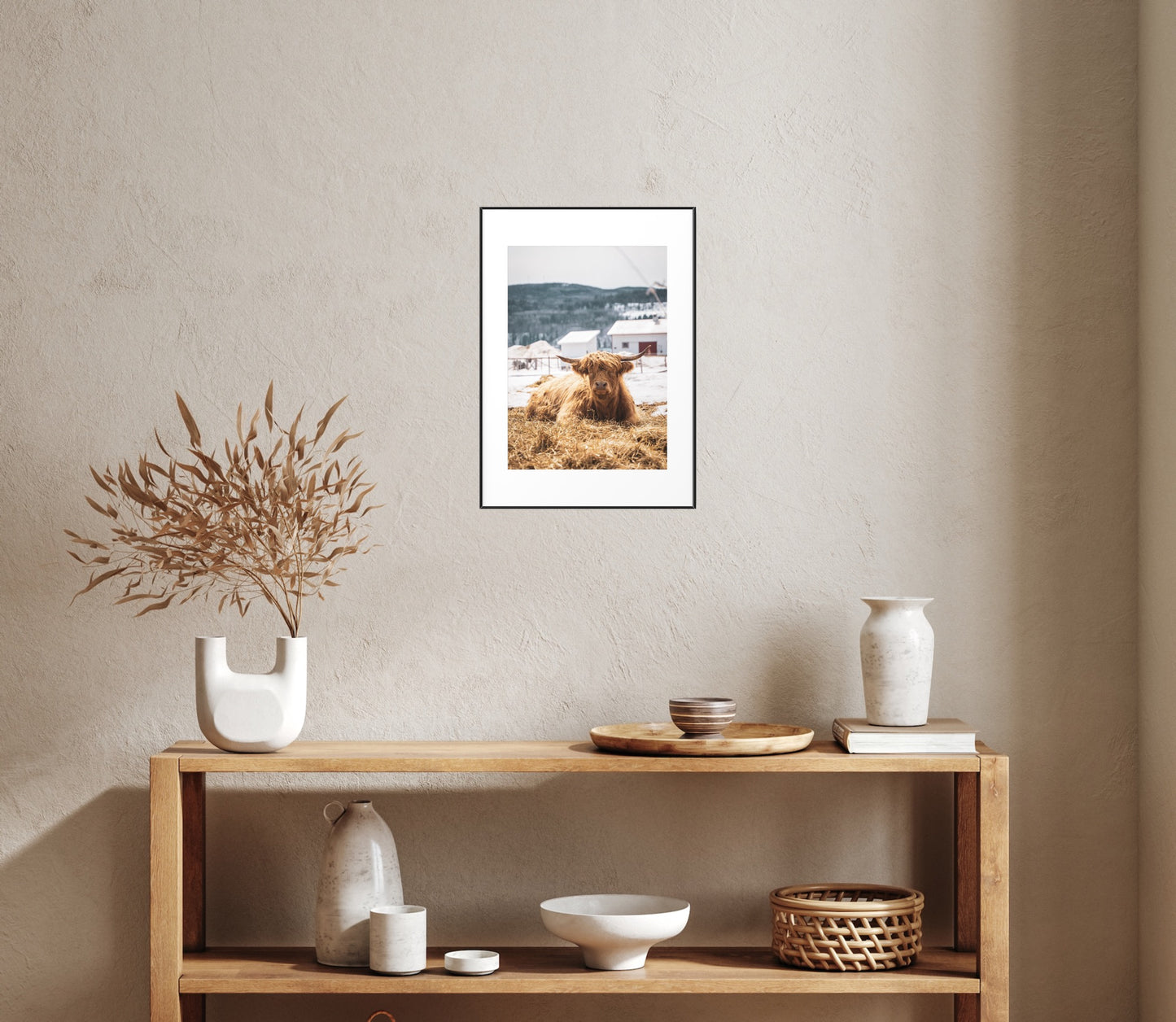 Vache Highland de Charlevoix dormant