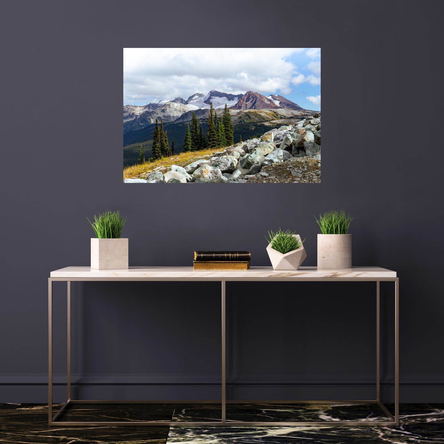 Whistler mountain landscape photography in the summer in the alpine wilderness poster print