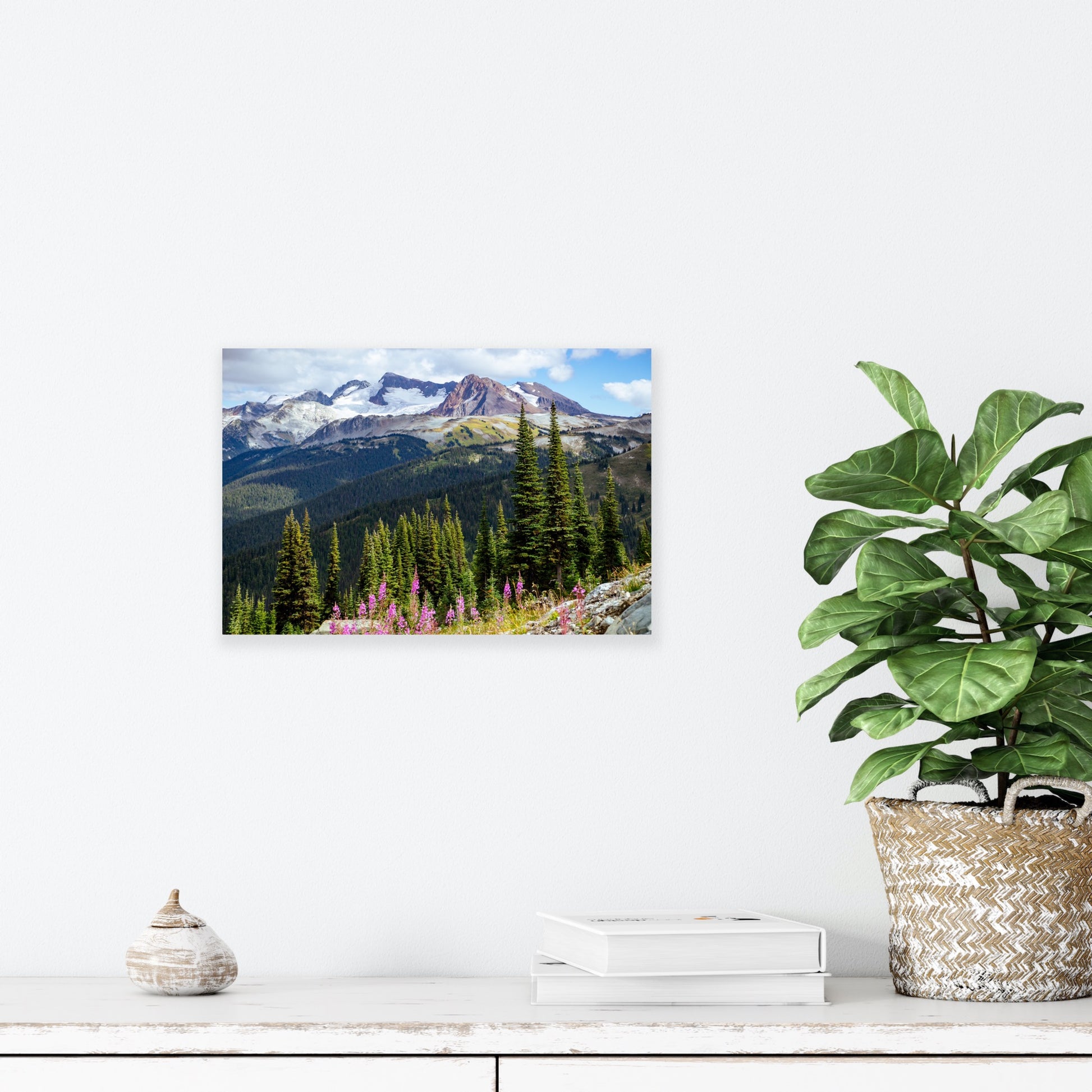 Whistler mountains with fireweed wildflowers in the foreground nature landscape photography print