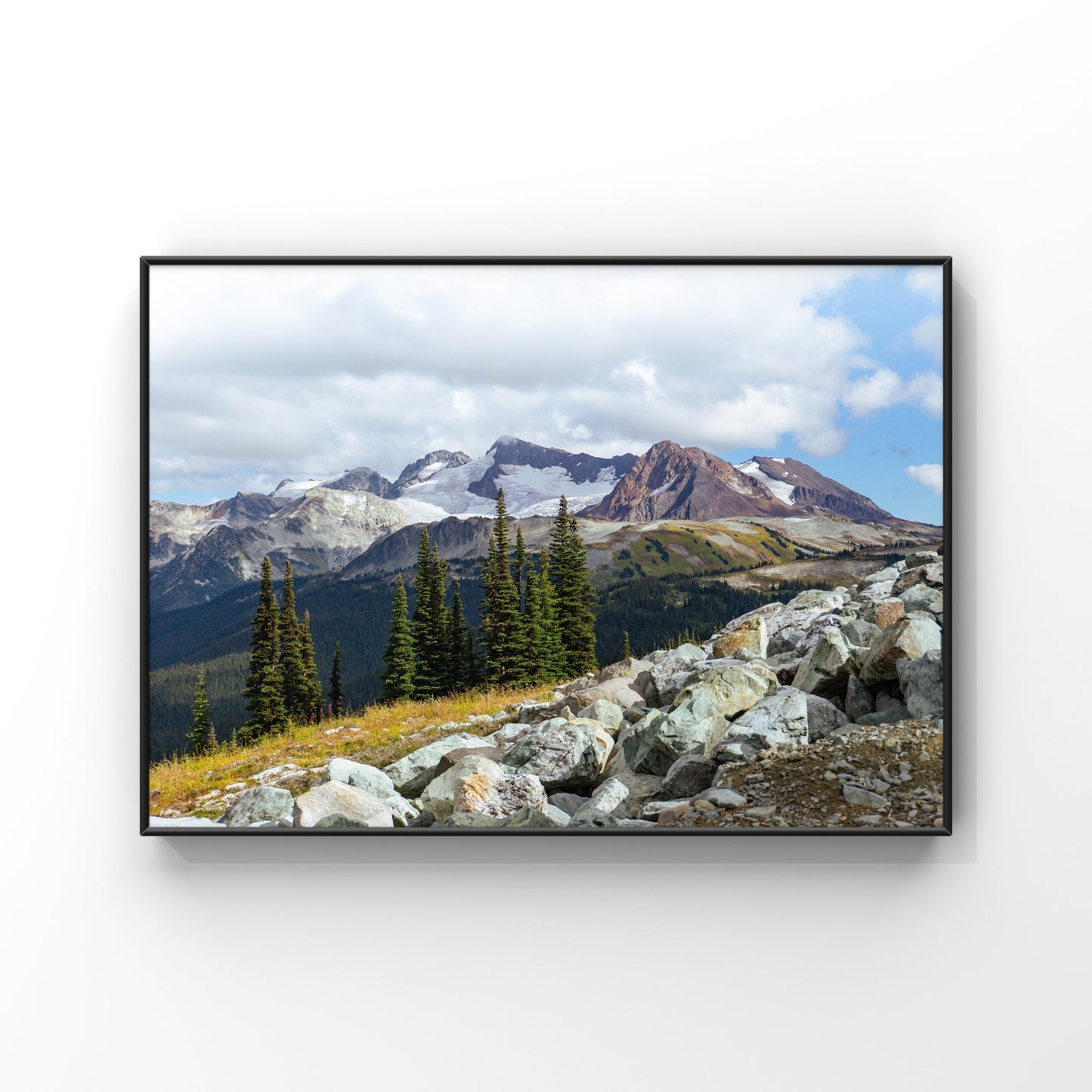 Whistler mountain landscape photography in the summer in the alpine wilderness poster print