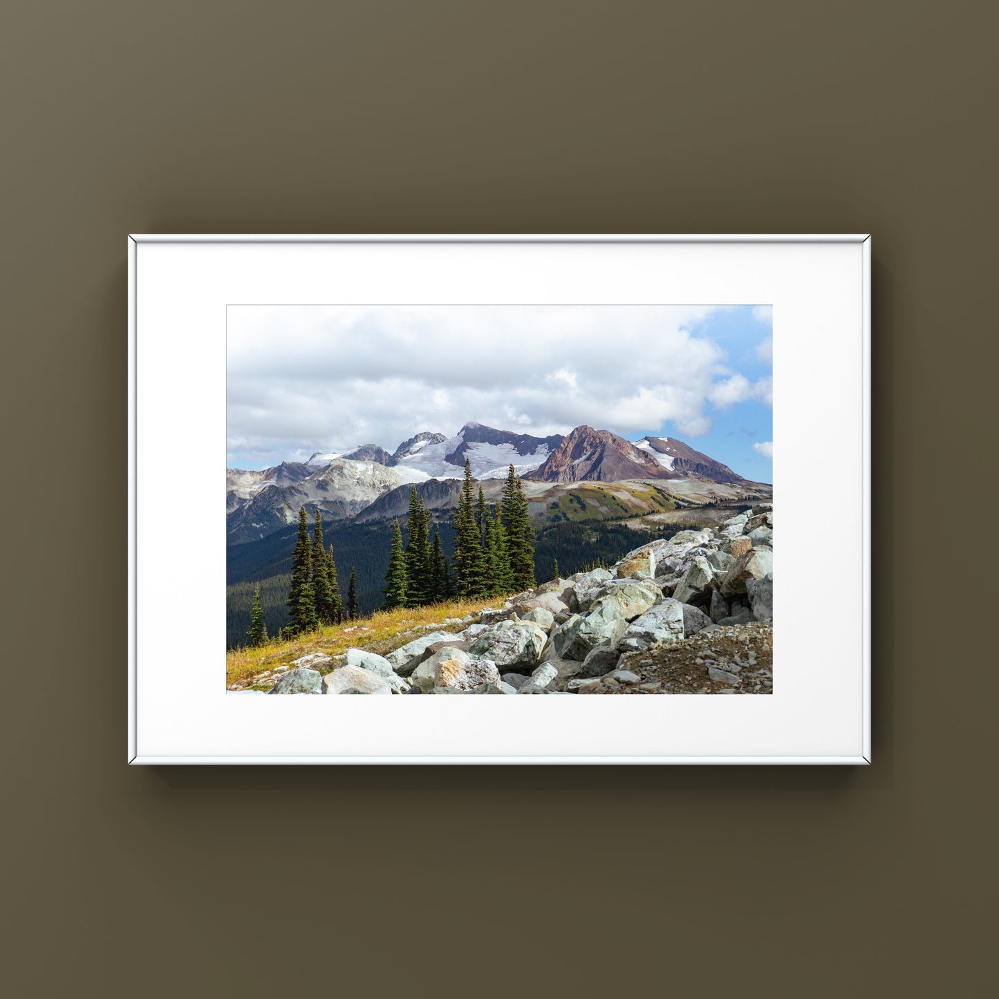 Whistler mountain landscape photography in the summer in the alpine wilderness poster print