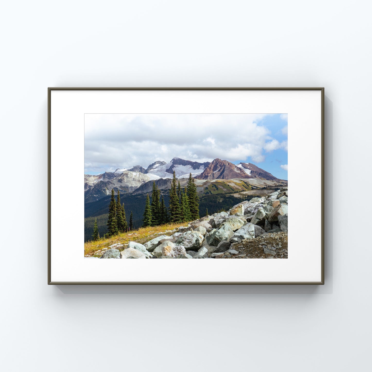 Whistler mountain landscape photography in the summer in the alpine wilderness poster print