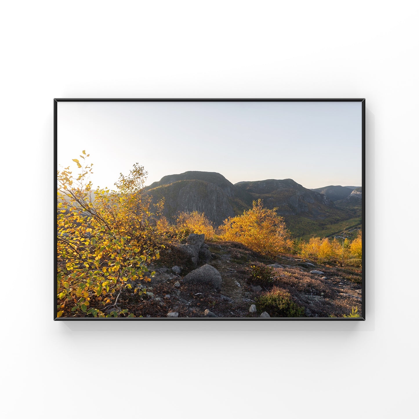 Golden Charlevoix: Autumn Sunset Dreams 1