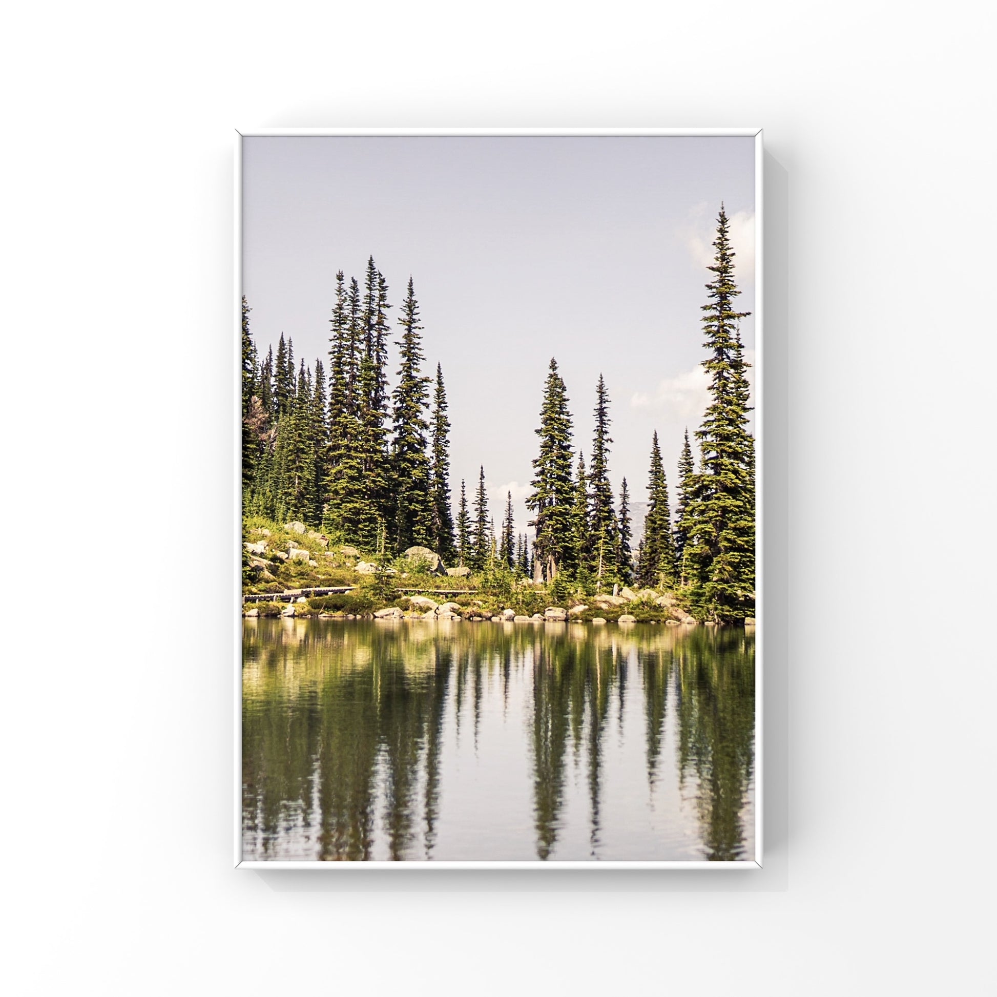 Photo print of pine trees reflection on an alpine lake in Whistler, British Columbia