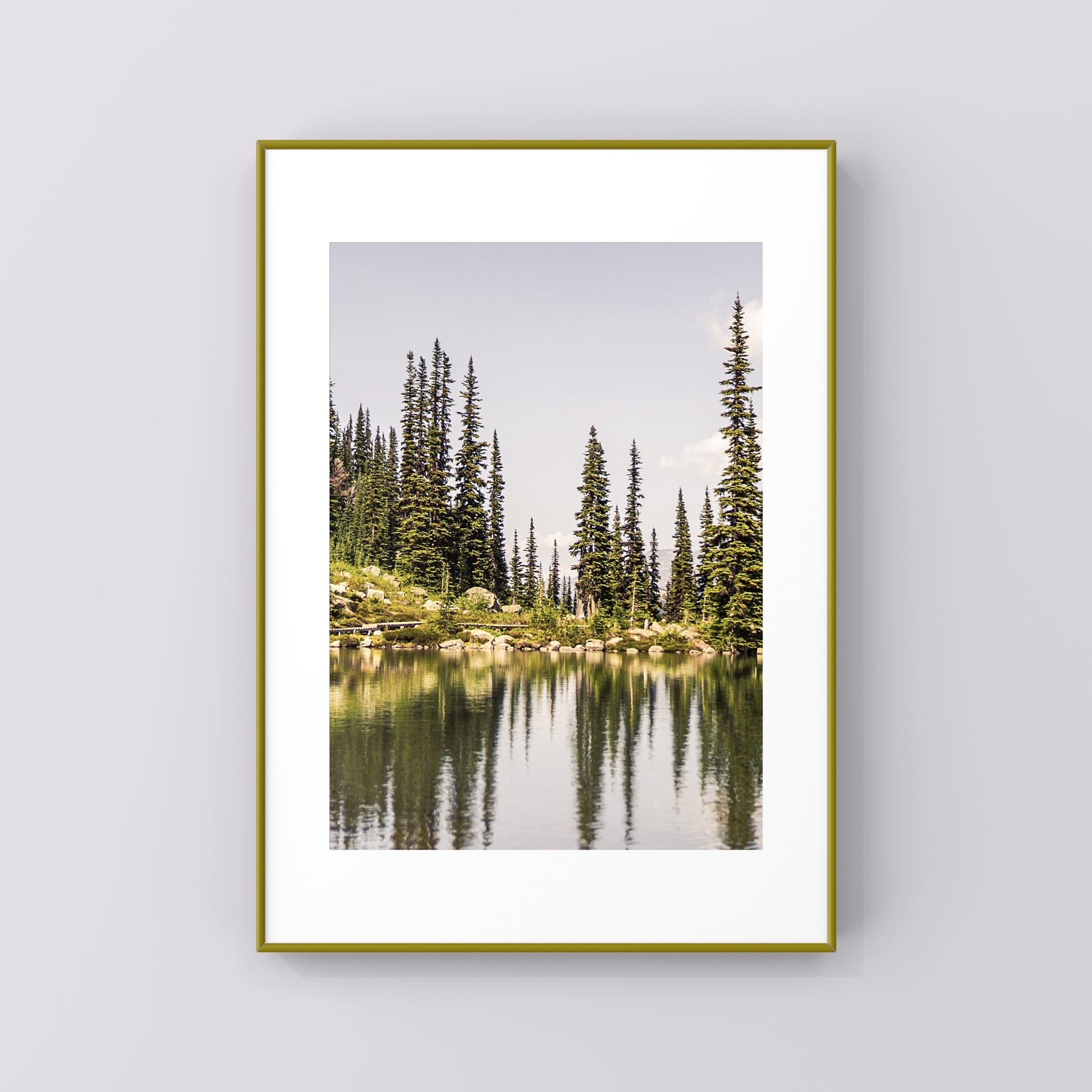 Photo print of pine trees reflection on an alpine lake in Whistler, British Columbia