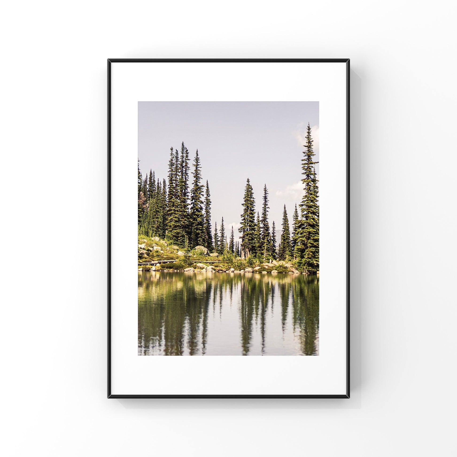 Photo print of pine trees reflection on an alpine lake in Whistler, British Columbia