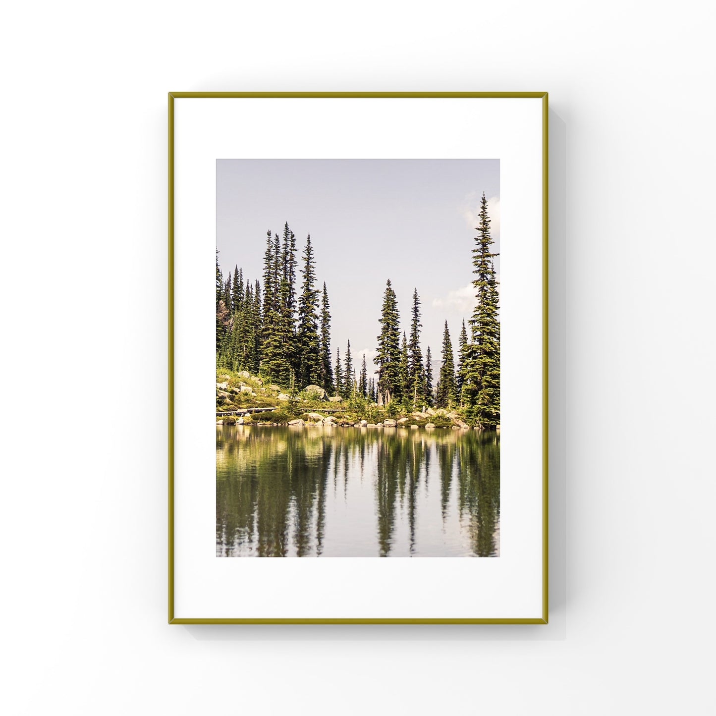 Photo print of pine trees reflection on an alpine lake in Whistler, British Columbia