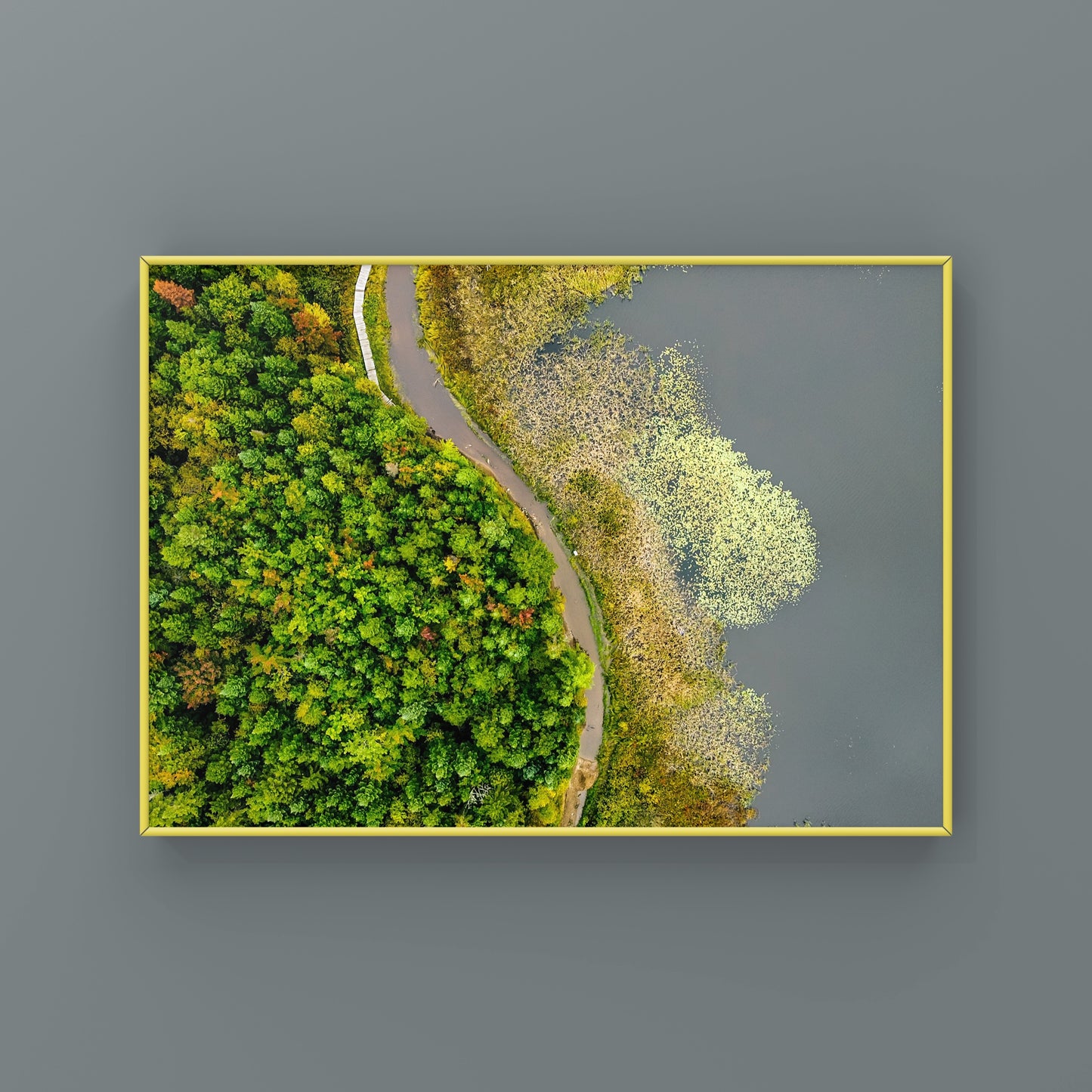 Abstract Wild Nature