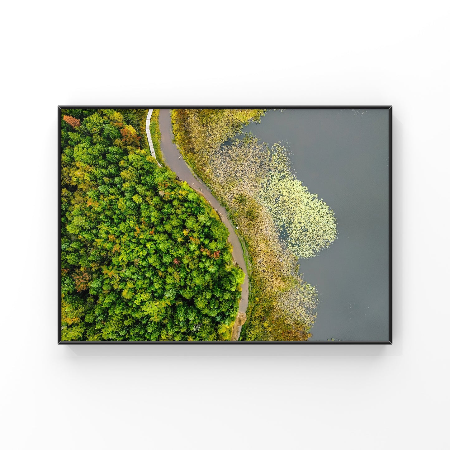 Abstract Wild Nature