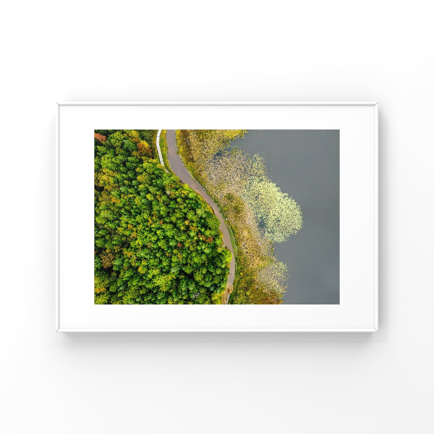 Abstract Wild Nature