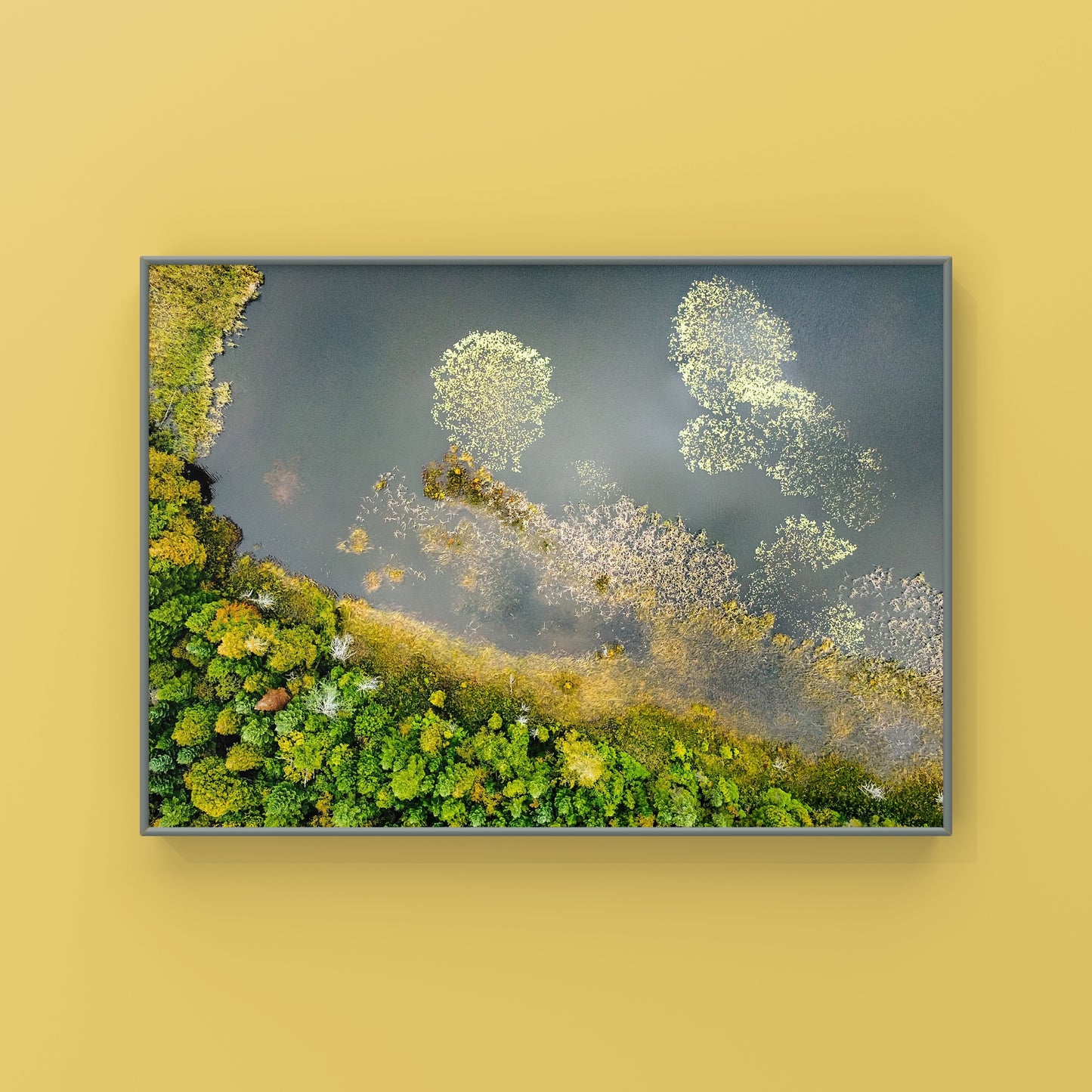 Abstract Wilderness Greenery