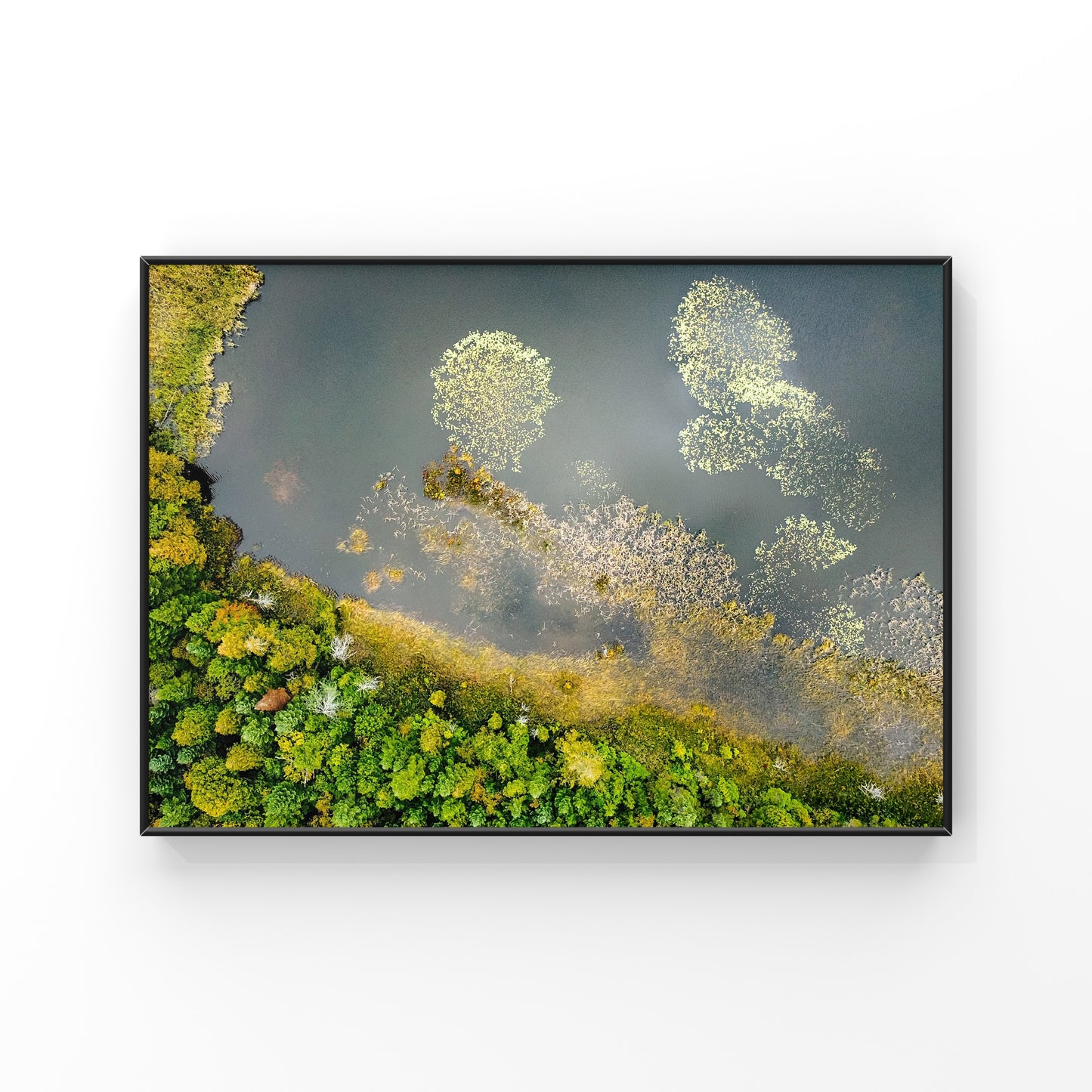 Abstract Wilderness Greenery