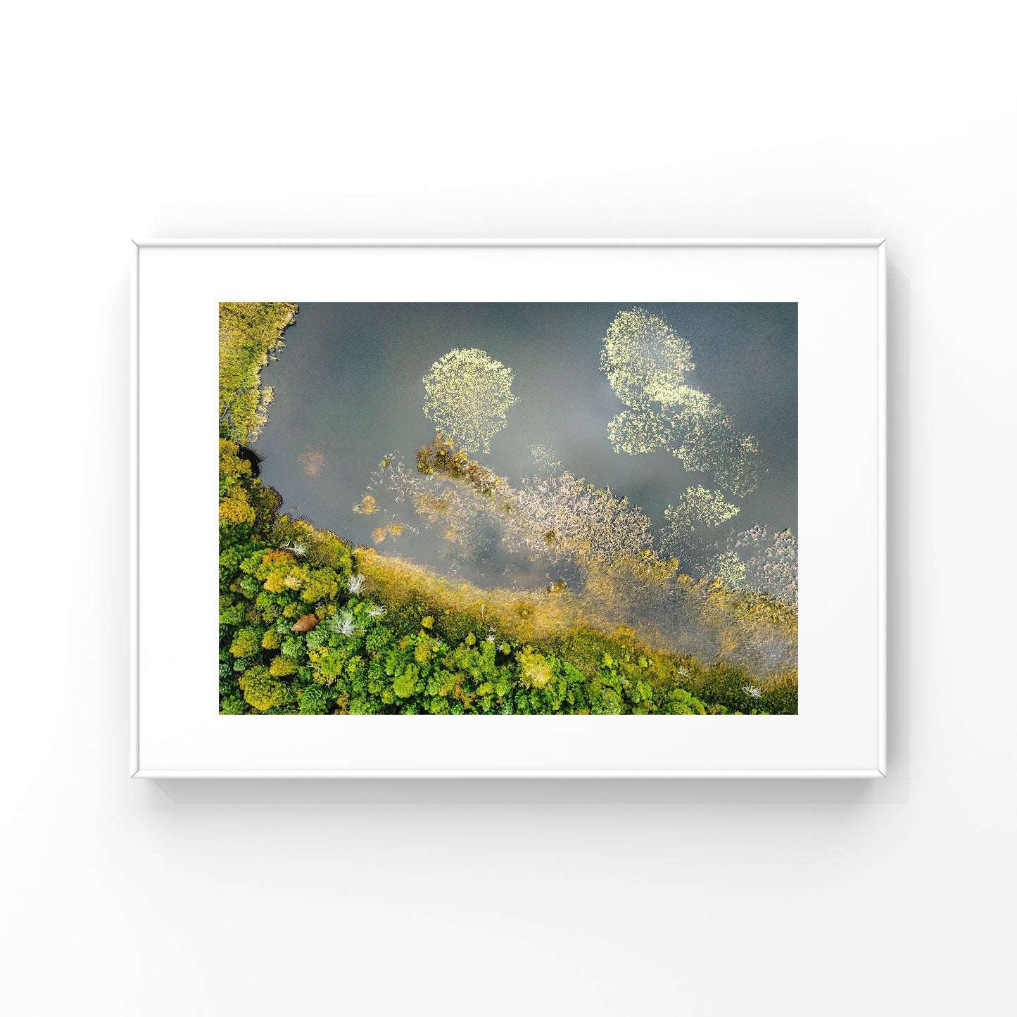 Abstract Wilderness Greenery