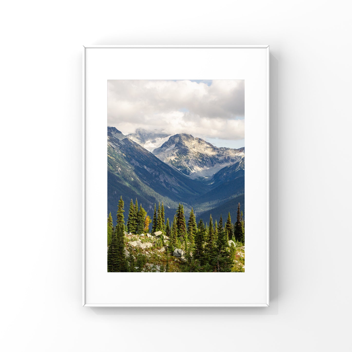 Paysage de montagne de Whistler Été 2