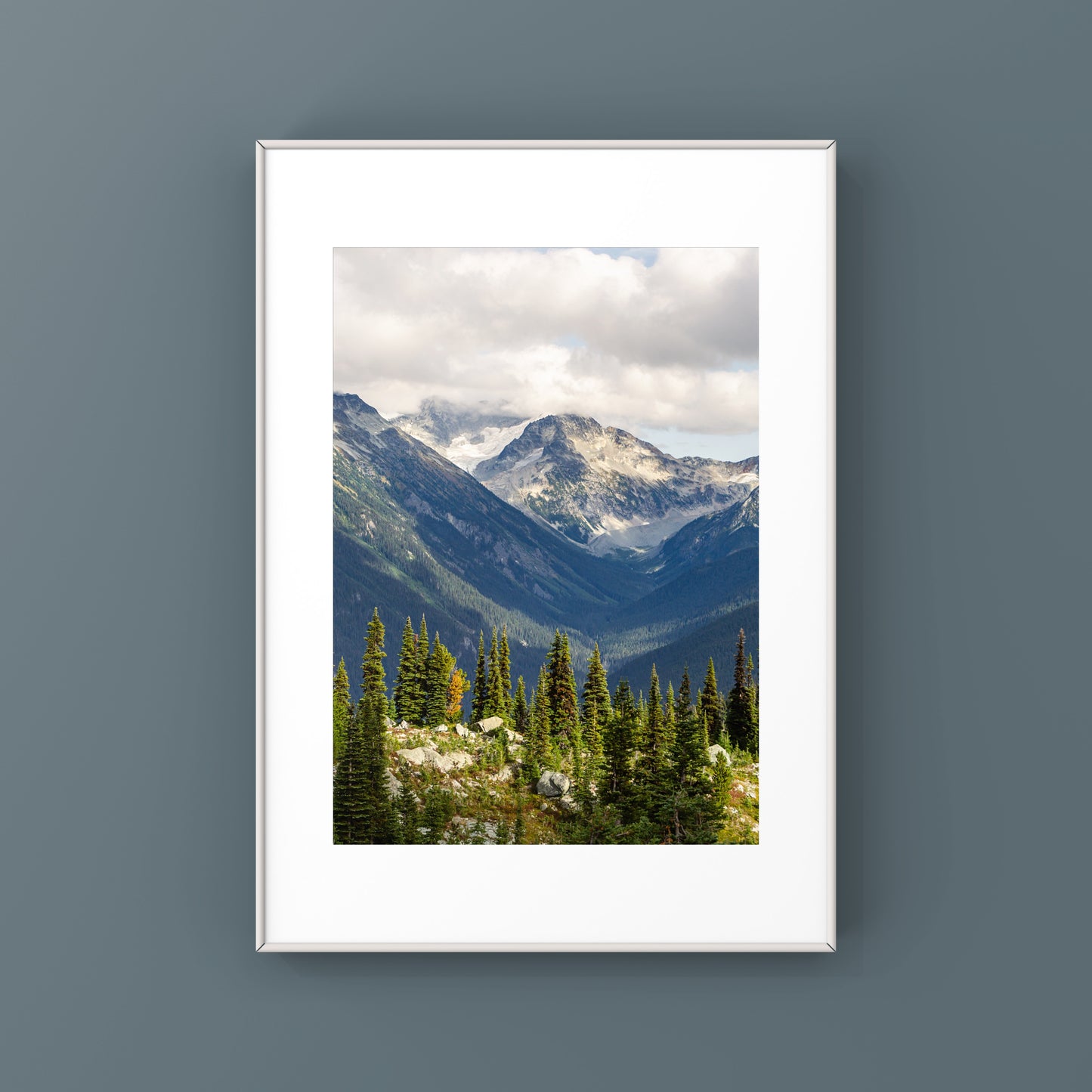 Paysage de montagne de Whistler Été 2