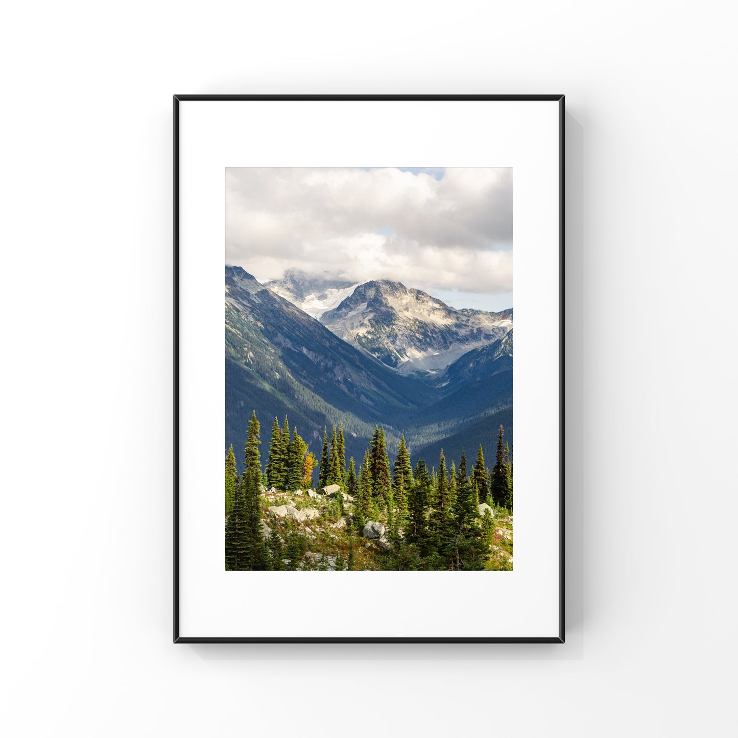 Paysage de montagne de Whistler Été 2