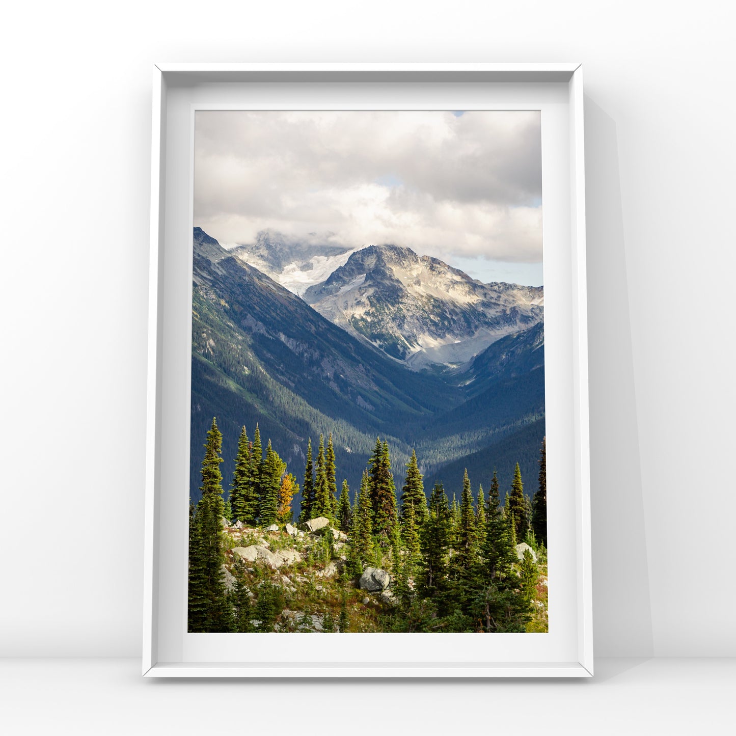 Paysage de montagne de Whistler Été 2