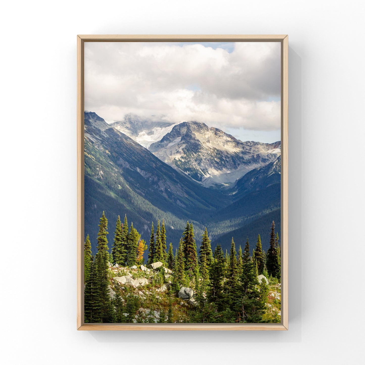 Paysage de montagne de Whistler Été 2