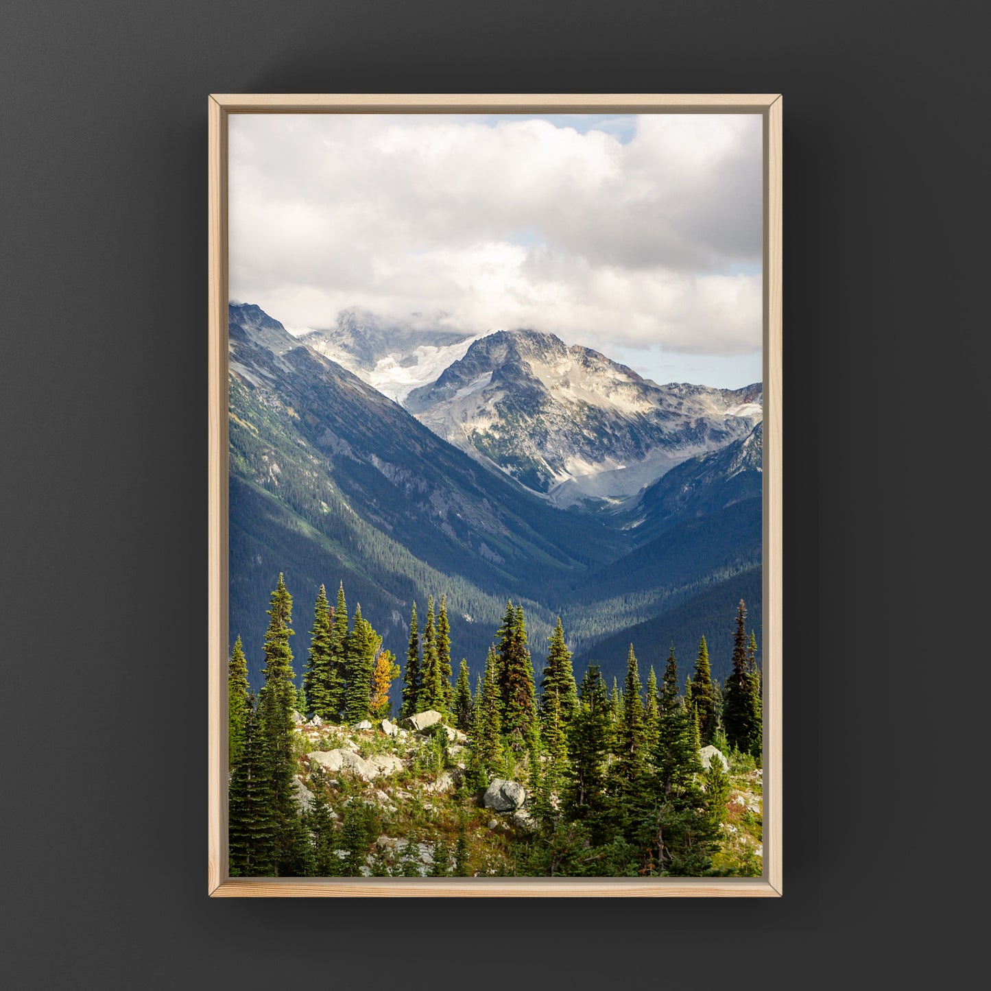 Paysage de montagne de Whistler Été 2