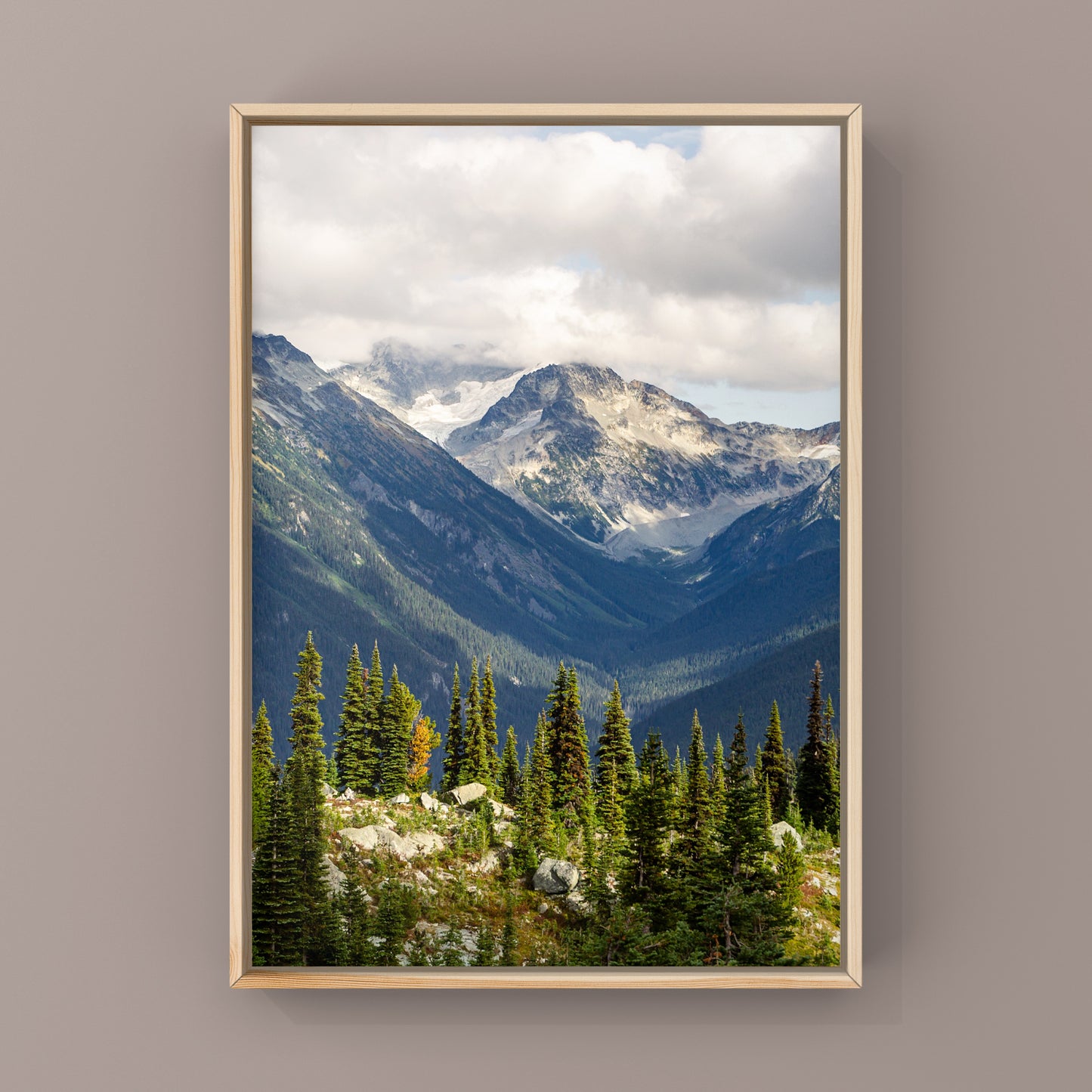 Paysage de montagne de Whistler Été 2