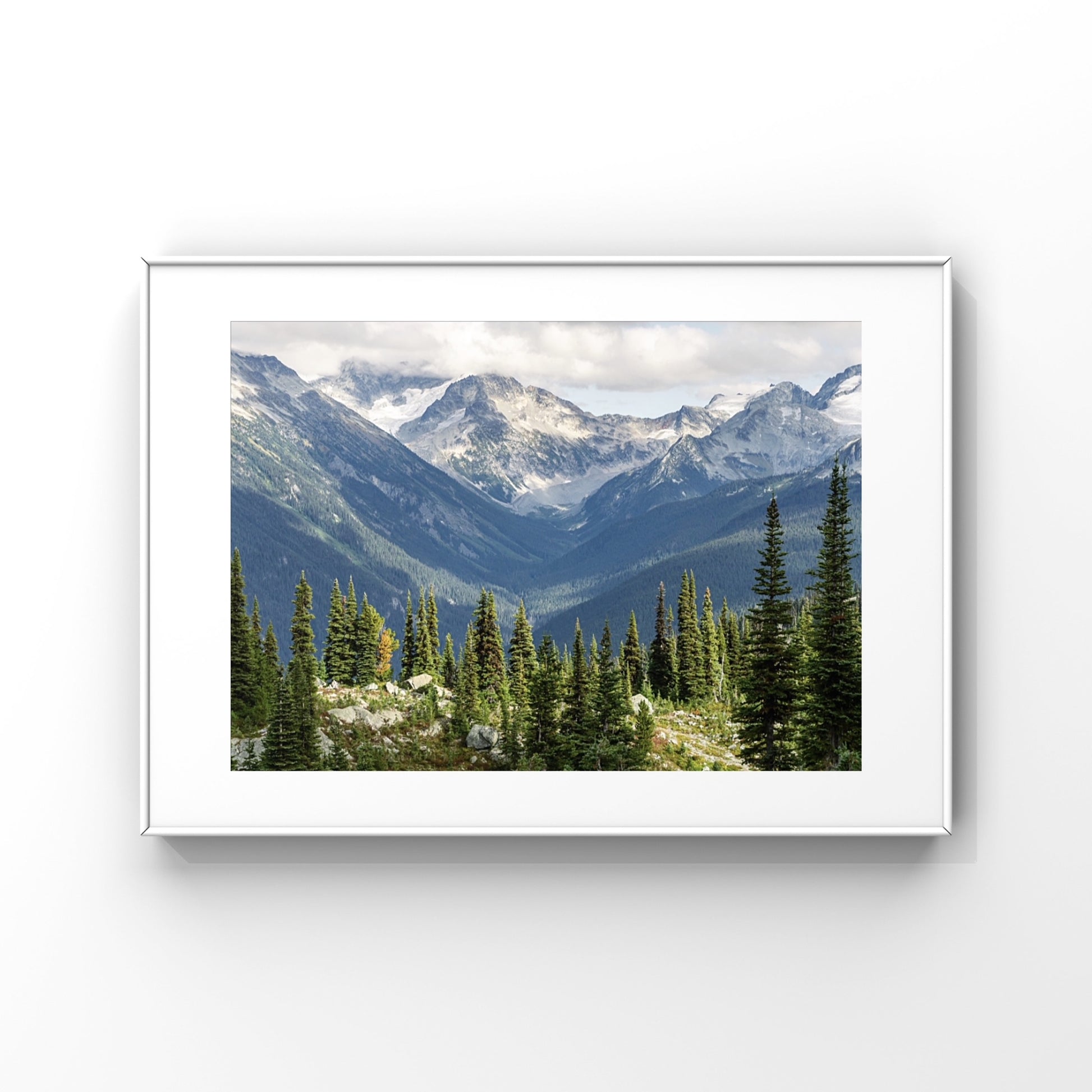 Whistler mountain nature photography print with lots of pine trees in the foreground