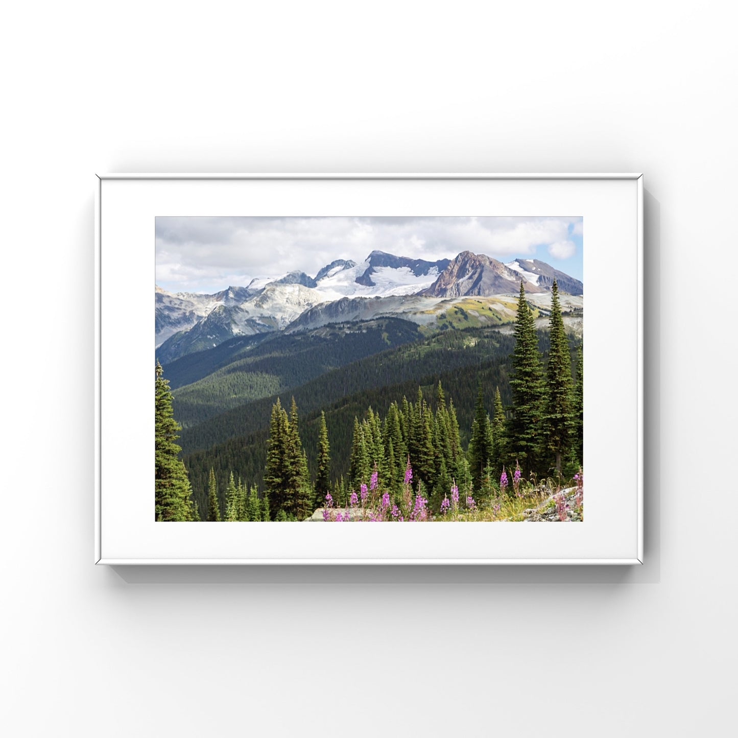 Whistler mountains with fireweed wildflowers in the foreground nature landscape photography print