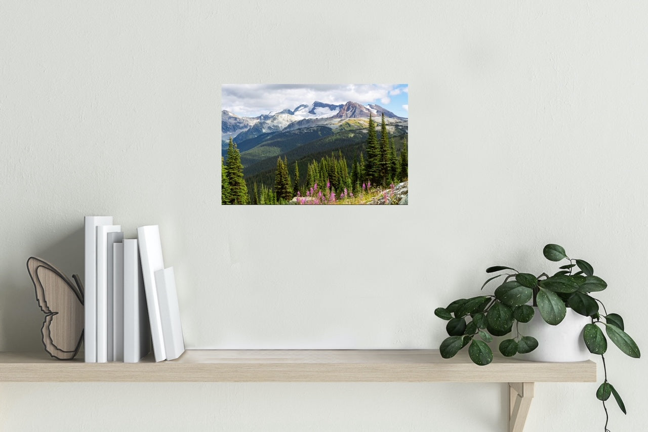 Whistler mountains with fireweed wildflowers in the foreground nature landscape photography print