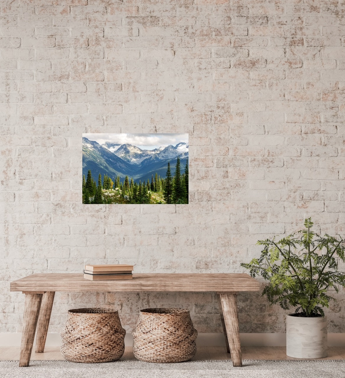 Whistler mountain nature photography print with lots of pine trees in the foreground