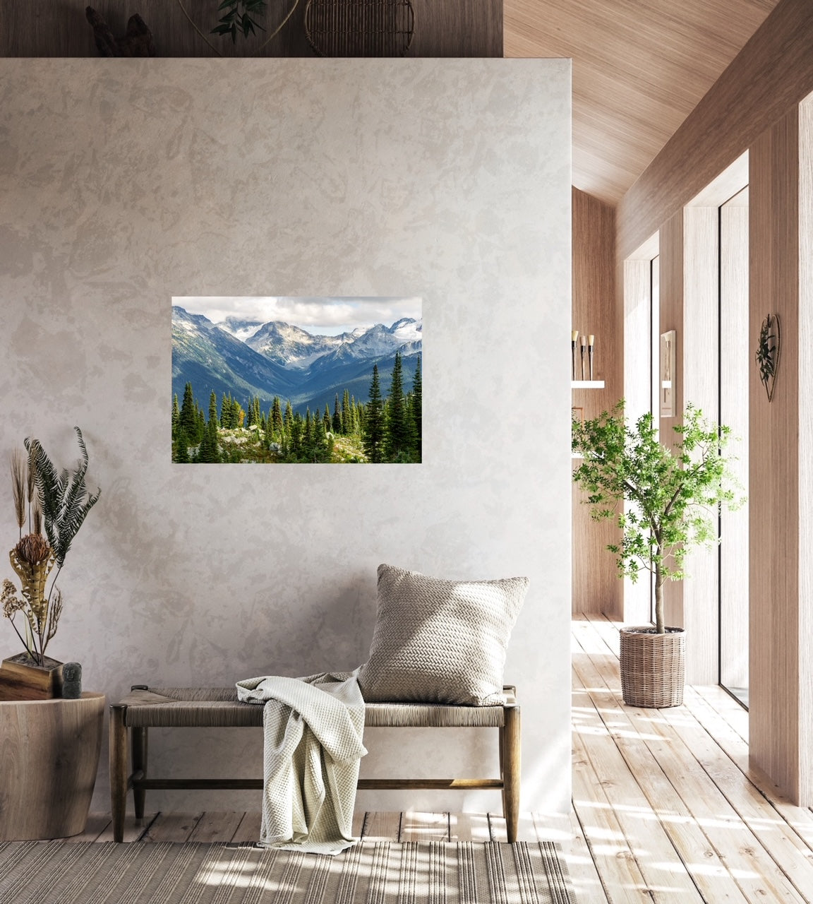 Whistler mountain nature photography print with lots of pine trees in the foreground