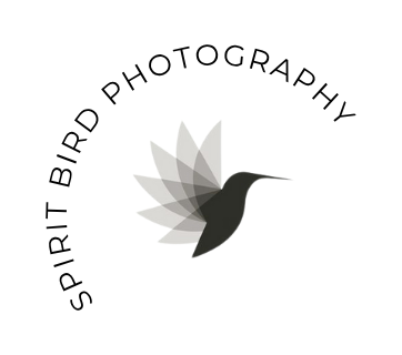 Spirit Bird Photography
