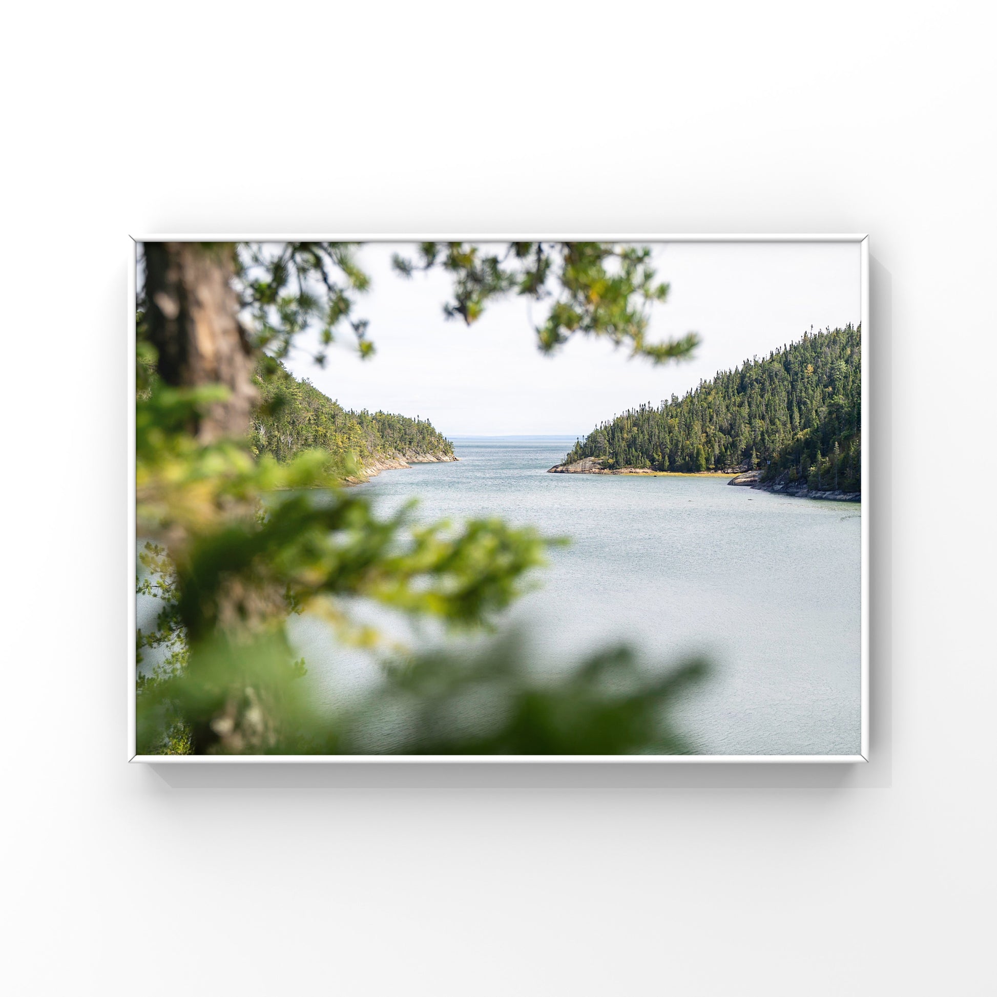 Peakaboo view through the pine trees, seeing the mountains embracing the shores of the St-Lawrence river at high tide photography print