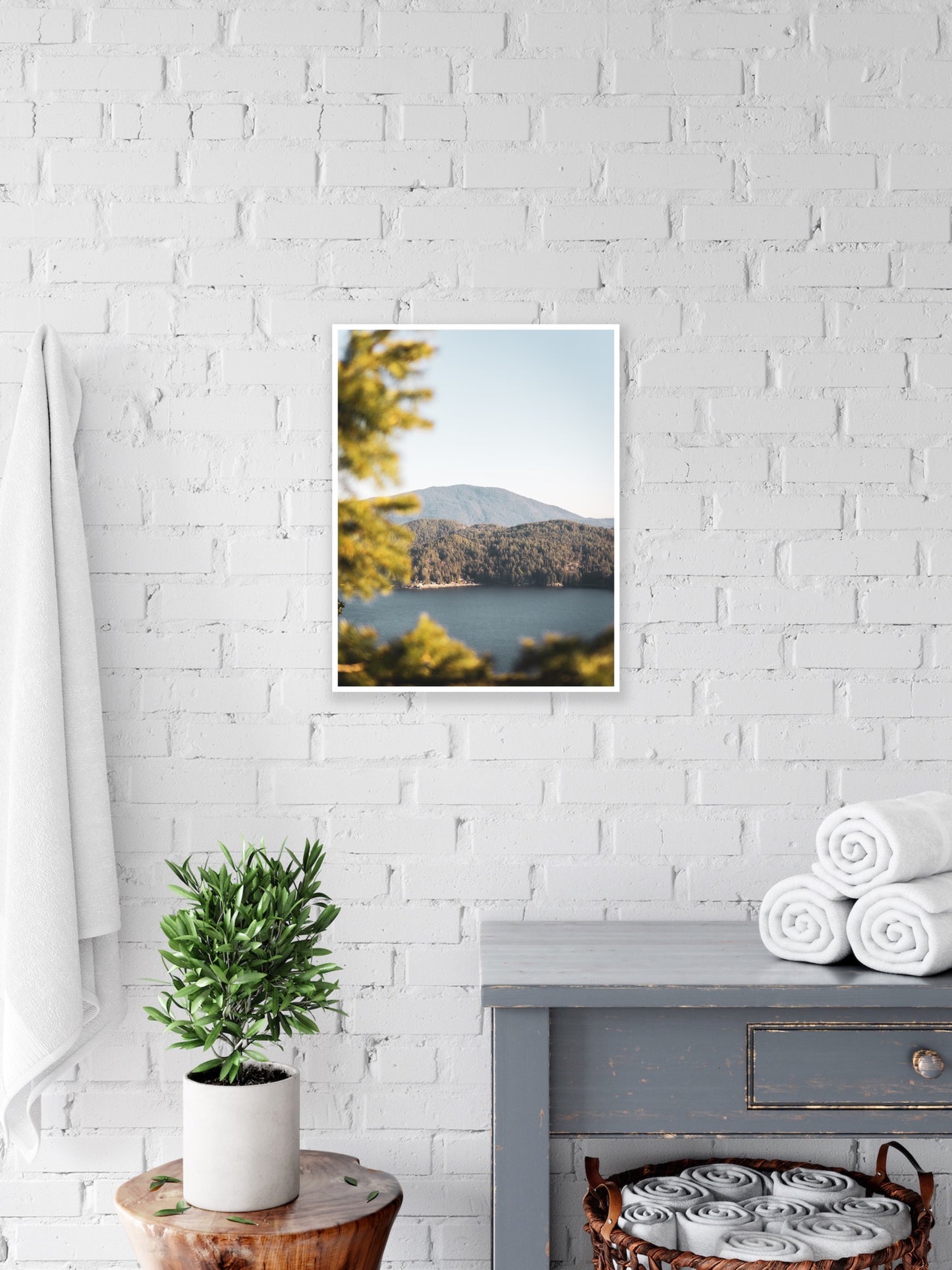 Mountain view photography print from the Sunshine Coast in British Columbia, ith the ocean and the pine trees in the foreground