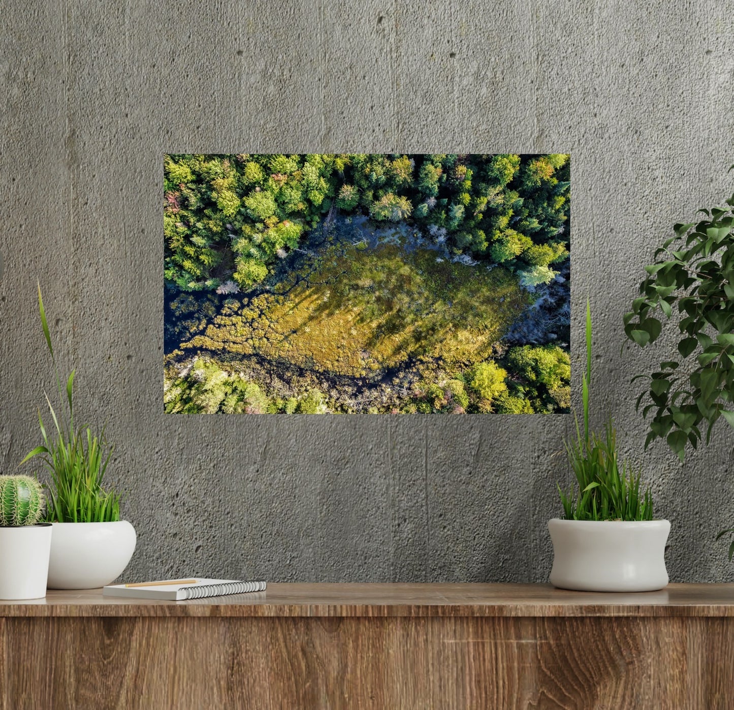 Aerial view of a small creek within a forest of pine trees and green moss in Quebec photography print