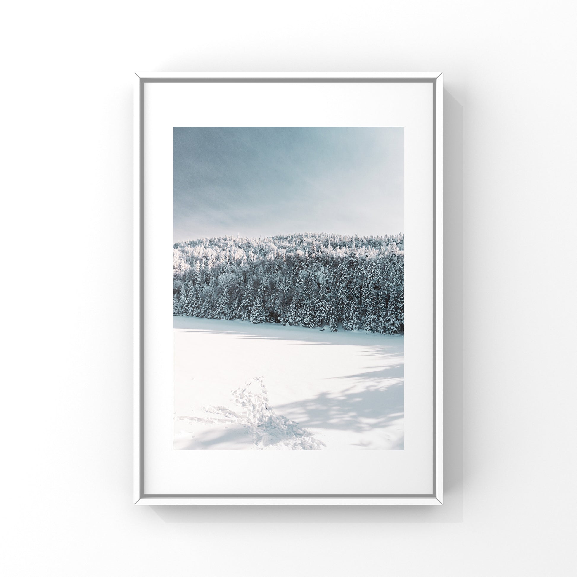 Frozen lake in a winter wonderland forest in Sutton, Quebec print poster 