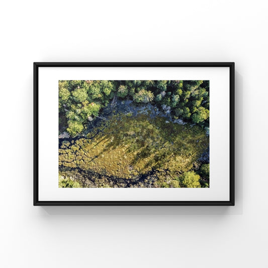 Aerial view of a small creek within a forest of pine trees and green moss in Quebec photography print