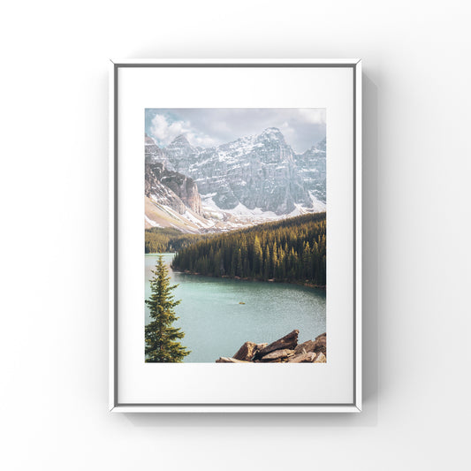 Photography print of pine trees and mountains at Moraine Lake in Alberta