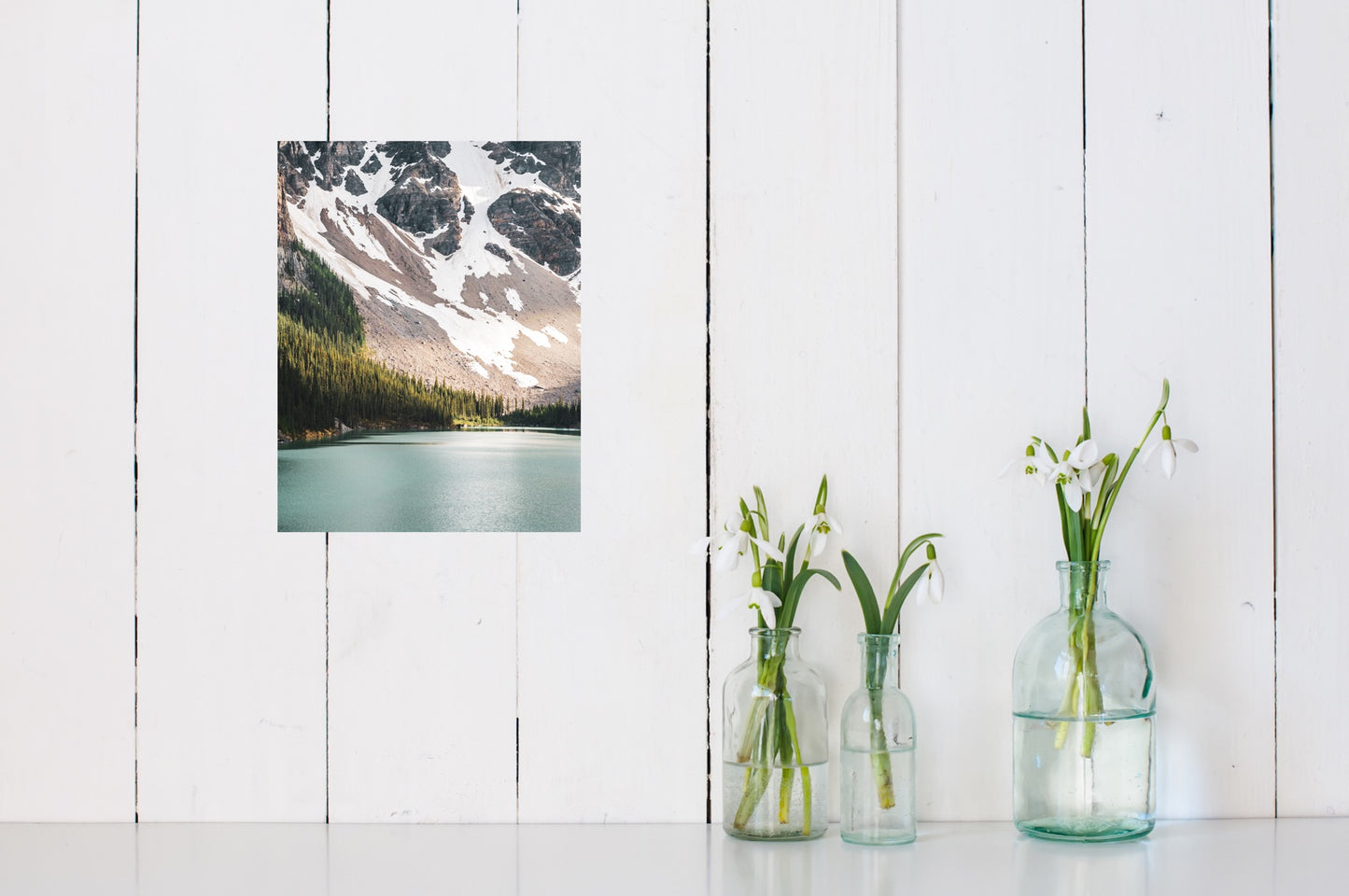 Captivating photograph poster of ray of light shinning on the trees near the glacier water lake close to Lake Louise in Alberta. 