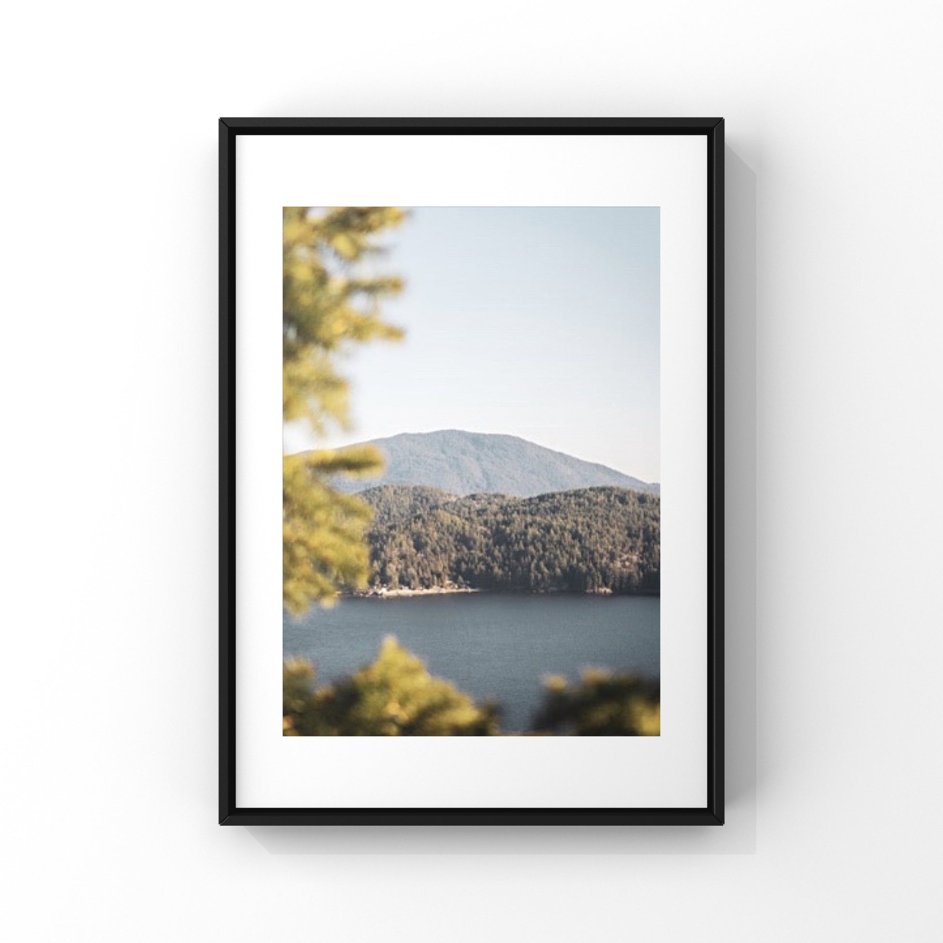 Mountain view photography print from the Sunshine Coast in British Columbia, ith the ocean and the pine trees in the foreground