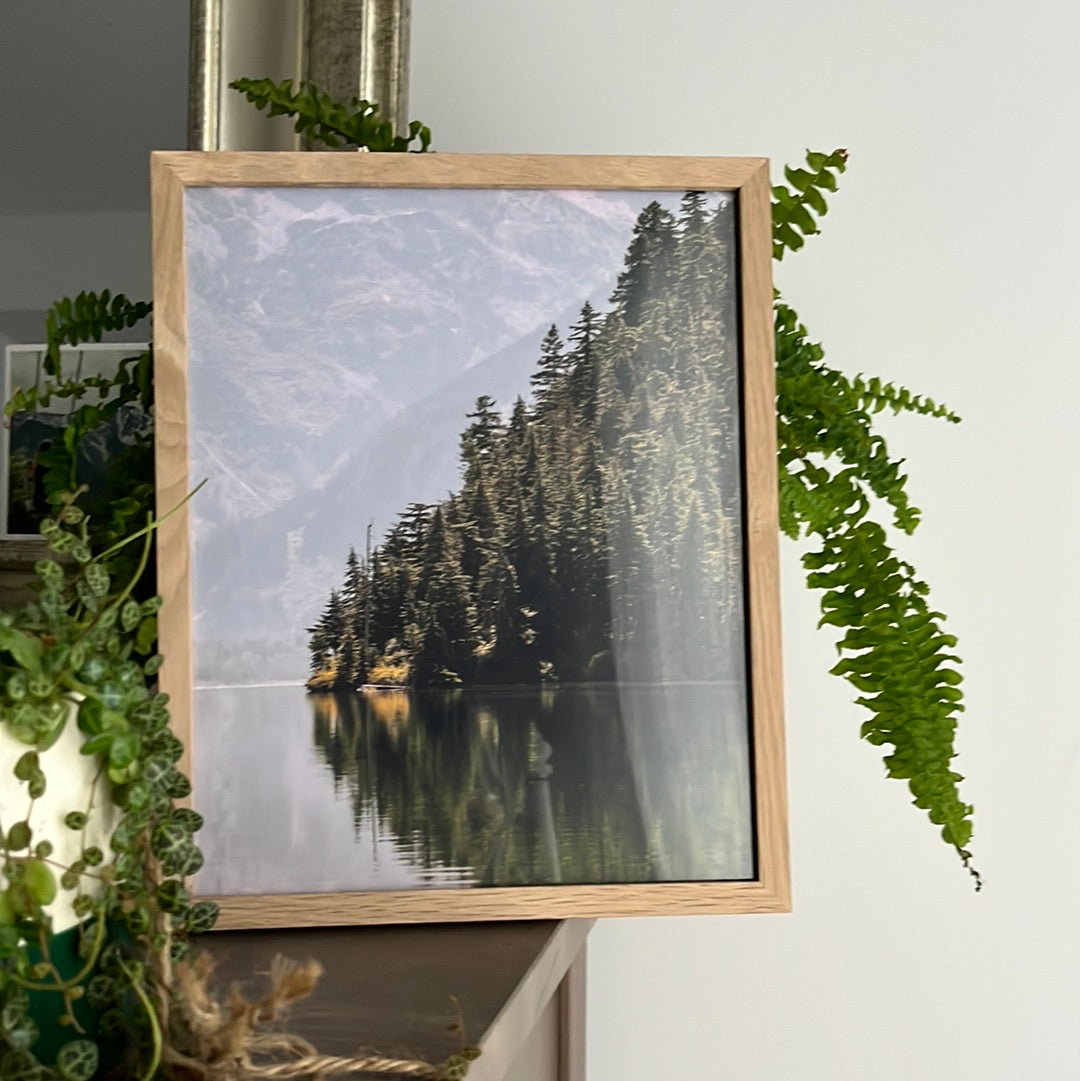 Pine trees reflecting on a lake with the tall mountains in the background from Whistler, Print and posters