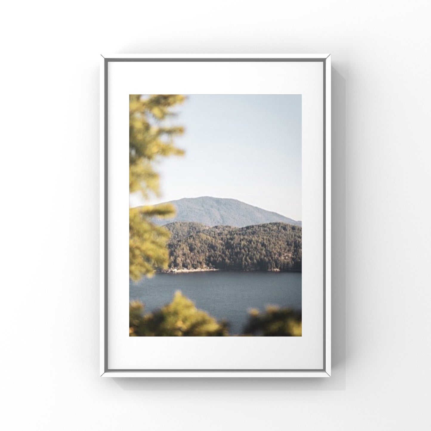 Mountain view photography print from the Sunshine Coast in British Columbia, ith the ocean and the pine trees in the foreground